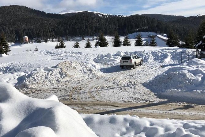 1 Day 4x4 Tour in Carpathian Mountains - What happens during the five hours at Bucegi Natural Park