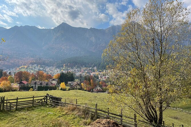 1 Day ATV Tour in Carpathian Mountains - Price and What You Actually Get for $228.29