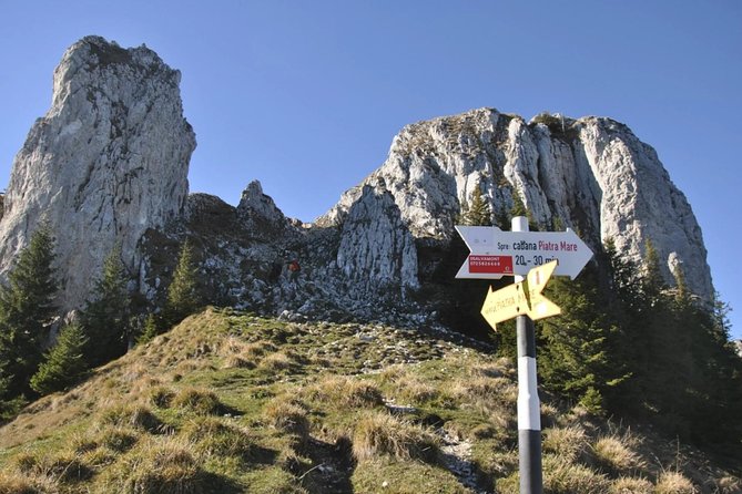 1 day CARPATHIAN PEAKS & CHALETS hike - Stop 1 at 1,470 m: Curmătura Chalet and the Piatra Craiului paths