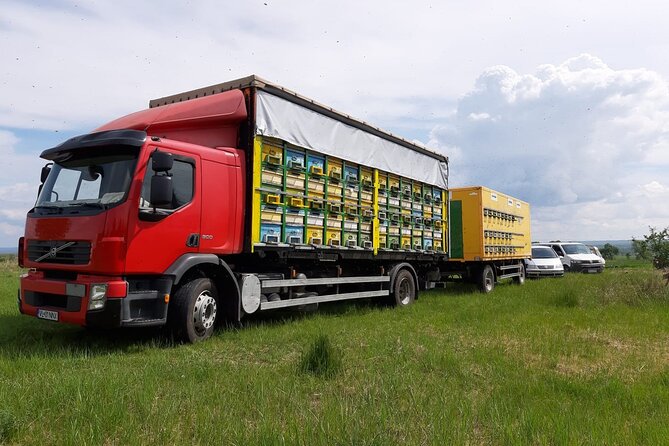 10 hours Private Apiary Tour in Romania - From Bucharest - Quick Key Points Before You Go