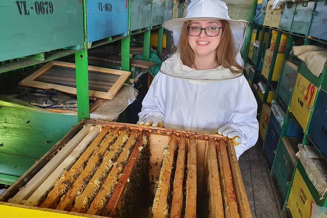 10 hours Private Apiary Tour in Romania - From Bucharest - Leaving Bucharest for Vâlcea County Honey Country