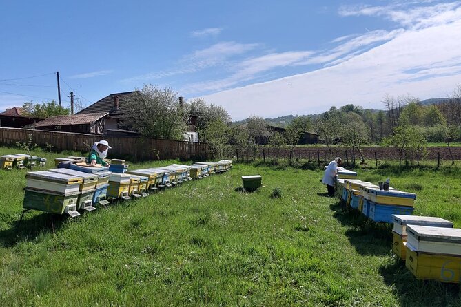 10 hours Private Apiary Tour in Romania - From Bucharest - A Romanian Honey Lunch That Feels Like Part of the Job