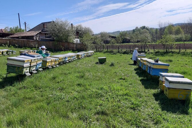 10 hours Private Apiary Tour in Romania - From Bucharest - Curtea de Arges Monastery: A Short Culture Stop That Fits the Route