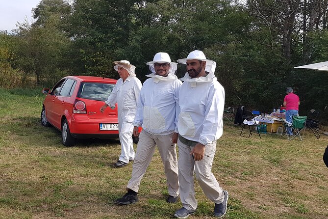 10 hours Private Apiary Tour in Romania - From Bucharest - Apiary Lessons: How Beekeeping Really Works Close Up