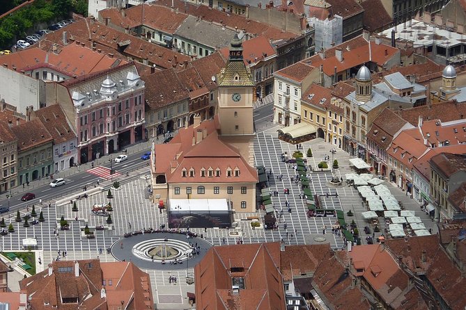 2-Day Small-Group Tour to Dracula's Castle, Rasnov Fortress, Peles Castle, Sighisoara and Libearty Brown Bear Sanctuary with Overnight in Brasov - Libearty Bear Sanctuary in Zarnesti, the conservation stop that sticks