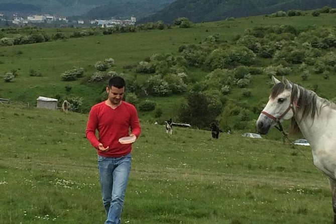 2 Days Private Tour Transfagarasan Road & Sibiu from Bucharest - Transfagarasan Highway: the world famous road with time to enjoy it