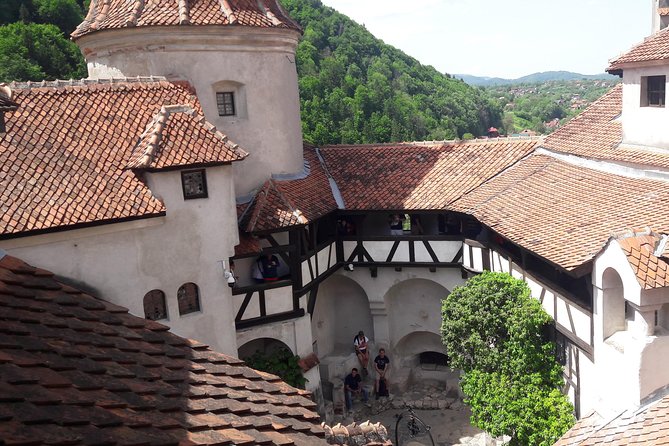 3-Castle: Peles,Bran,Rasnov,Sinaia Monastery from Brasov w pickup - Rasnov Citadel: the hilltop fortress, the inner garden, and 146 meters of well