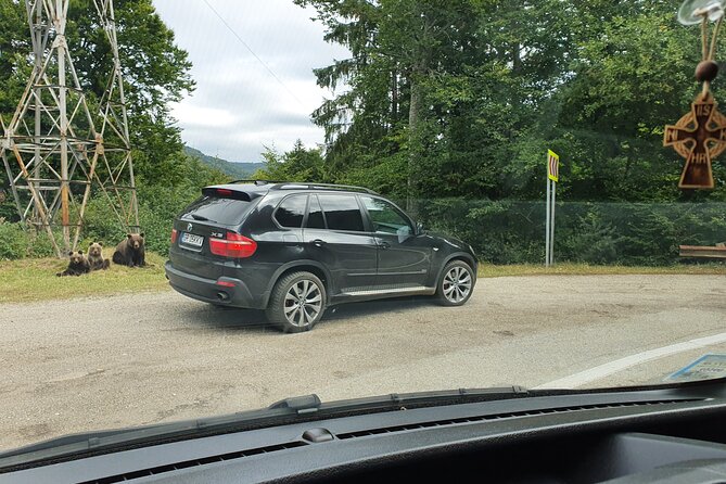 3 Days Private Tour in Romania with Transfagarasan Road - The route makes sense, even when the roads get big