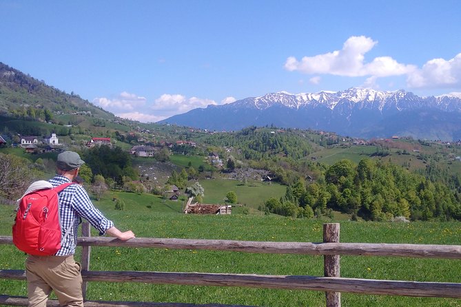 4-Day Carpathian Trek: Bucegi Mountains and Piatra Craiului National Park - Day 1 in the Bucegi Mountains: near Bran, wild northern hiking, sheep farm lunch