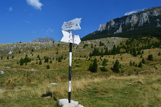 4-Day Carpathian Trek: Bucegi Mountains and Piatra Craiului National Park - Day 2 in Piatra Craiului: settling into the national park rhythm