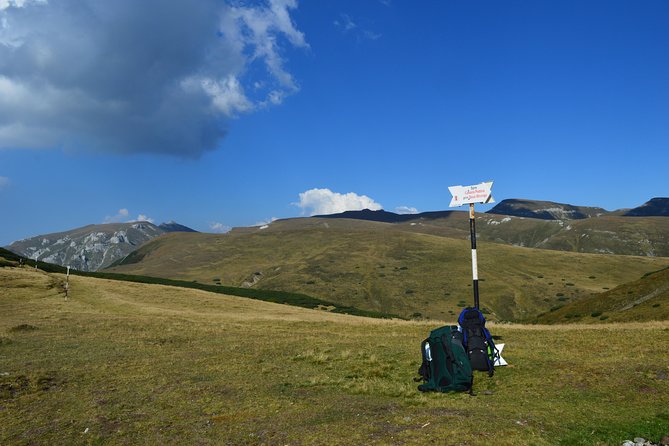 4-Day Carpathian Trek: Bucegi Mountains and Piatra Craiului National Park - Guesthouse stays and meals that keep you fueled