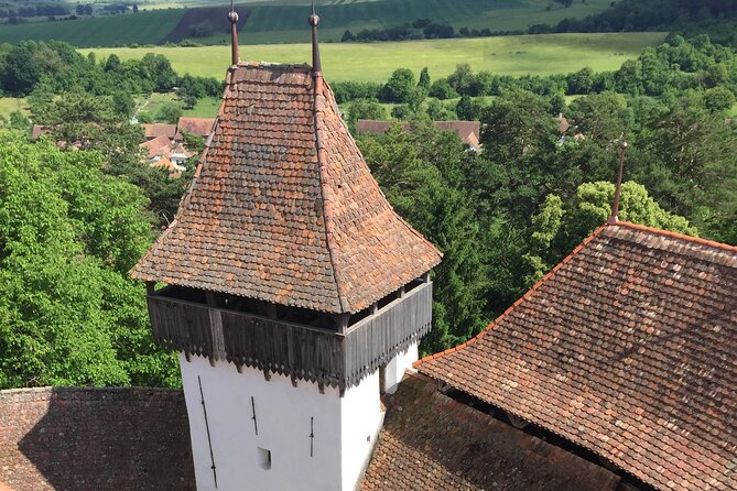 4-Day Private Tour: Bucharest to Budapest via Transylvania - Day 4: Timișoara Baroque squares, Bega River walks, and your final 3-hour window