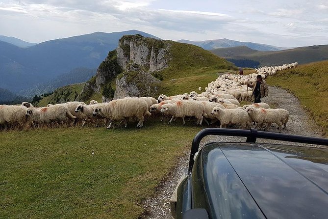 4x4 Driving Experience at Flying Altitudes - 7 Days - Day 2: Bran Castle Area and the Fairytale Village Feeling