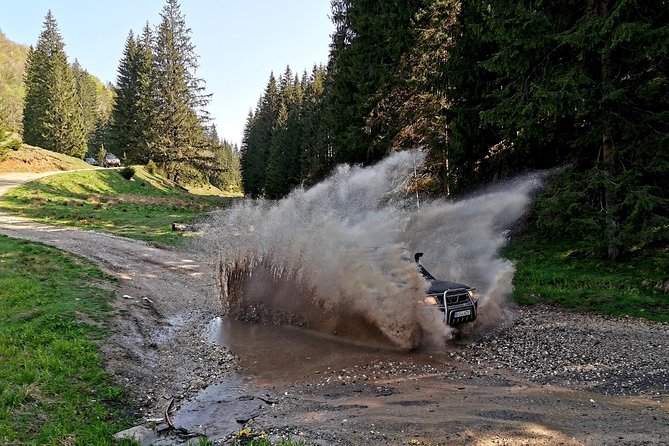 4x4 Nature Tour in Land of Dracula - 1 day - Coffee with the Teeth of Dracula (Coltii Morarului)