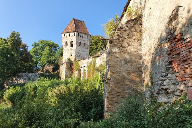 6 Days Private Tour in Romania Spectacular Places from Bucharest - Quick hits from this private Romania route