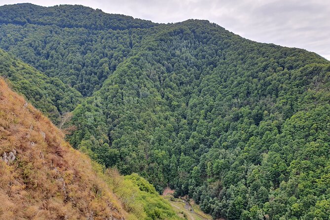6 Days Private Tour in Romania Spectacular Places from Bucharest - Day 6: Transfăgărășan Highway, Cozia at Calimanesti, Poienari steps, Vidraru views, and Sibiu squares