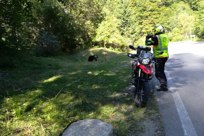 650cc Motorbike Rental from Turda - Riding comfort: pillion storage, top box, and gear you might want