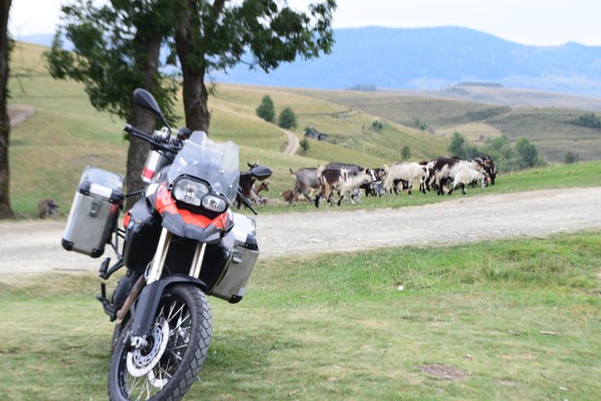 7 Day Best of Transylvania Motorcycle Tour from Cluj - Day 6 Poienari Fortress steps, Curtea de Arges monastery, then Transalpina over Urdele Pass
