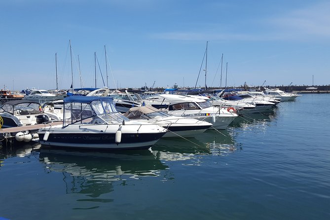 A day by the Black Sea Shared Group Tour from Bucharest - Dobrogea plateau views, and why the drive is part of the point