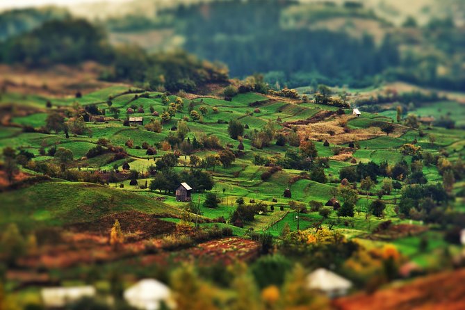 A Journey Back in Time: Countryside from Transylvania and Maramures - 15 Days - Viscri: Saxon village life and the comfort of staying put