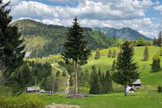 Adventure day trip from Iasi | Hiking in the Carpathian Mountains - Should you book this Bicaz Gorges hiking day from Iasi?