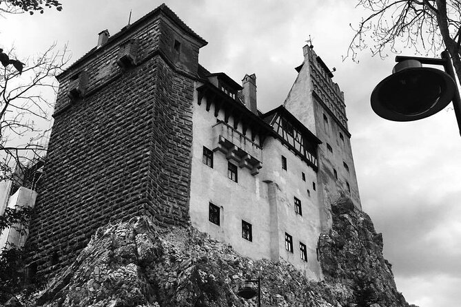 Bear Sanctuary and Bran Castle from Brasov - Seeing bears close up, safely, plus the extras you might spot