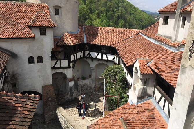 Bear Sanctuary and Bran Castle from Brasov - Bran Castle: Dracula’s Castle and why it still matters beyond the name
