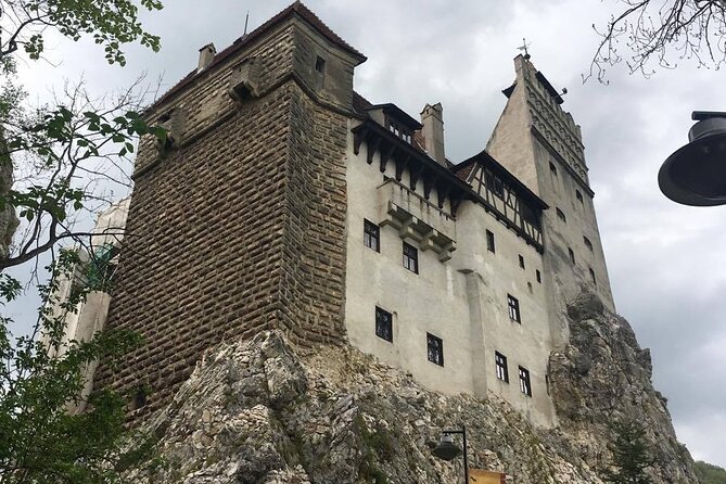 Bear Sanctuary and Bran Castle from Brasov - Castle crowds and the stairs reality check