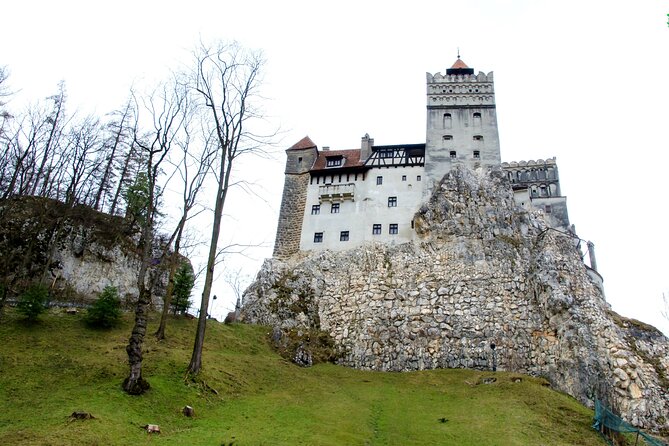 Bear Sanctuary and Bran Castle from Brasov - Pickup from Piața Sfatului and how the timing typically feels