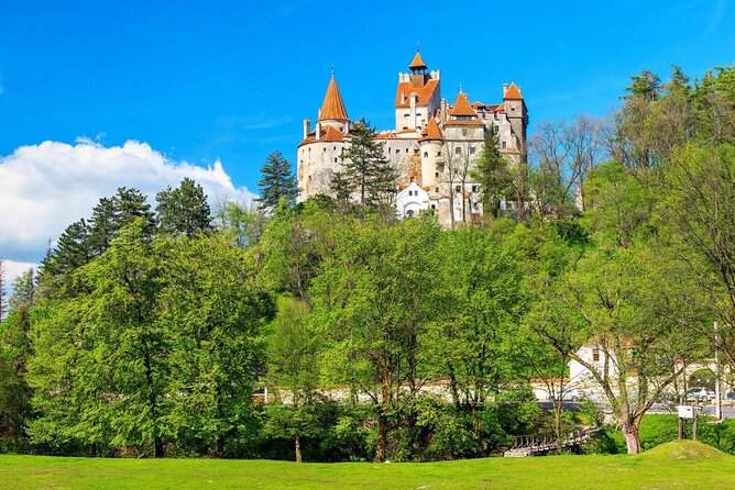 Bear Sanctuary and Bran Castle with a Professional Licensed Guide—Day Trip - Key highlights worth your time