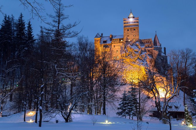 Bear Sanctuary and Bran Castle with a Professional Licensed Guide—Day Trip - Bran Castle, Dracula vibes without losing the plot