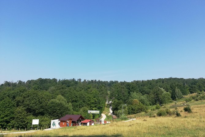 Bear Sanctuary and Dracula's Castle, 1-day Private Tour - Bucharest pickup and the drive: comfort, breaks, and what to expect