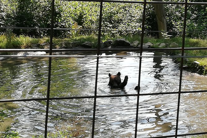 Bear Sanctuary and Dracula's Castle, 1-day Private Tour - Price and value: what $276.04 covers, and what to budget on top