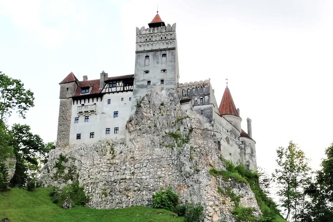 Bear Sanctuary and Dracula's Castle, 1-day Private Tour - What to pack and how to pace yourself