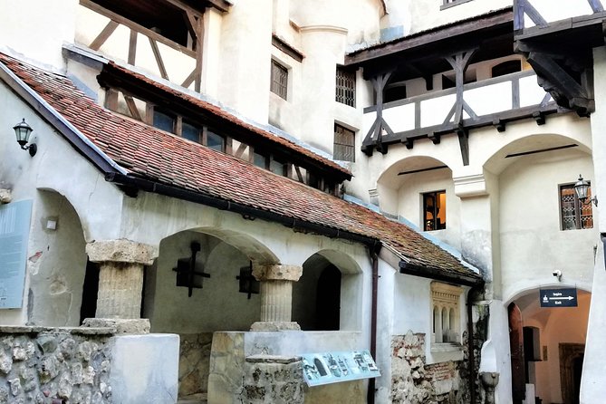 Bear Sanctuary and Dracula's Castle, 1-day Private Tour - Who this private day trip is best for