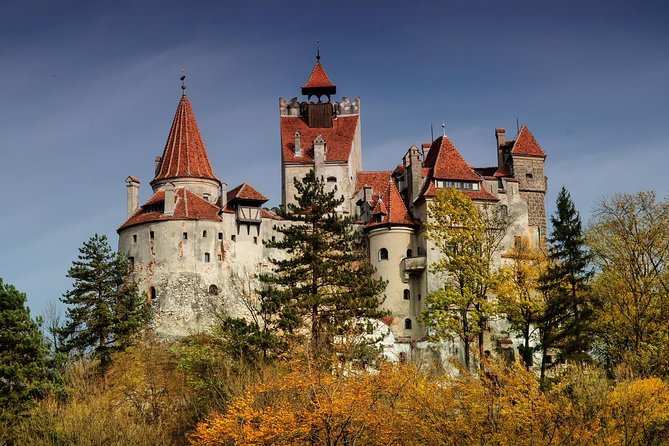 Bear Sanctuary, Bran (Dracula) Castle, Peles Castle From Brasov - Libearty Bear Sanctuary Zarnesti: what you’ll learn in about an hour