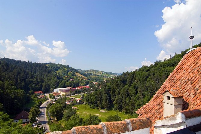 Bear Sanctuary, Bran (Dracula) Castle, Peles Castle From Brasov - Price and value check: what $132.53 covers, and what it doesn’t
