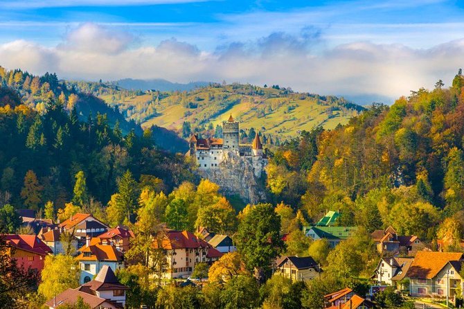 Bear Sanctuary, Bran (Dracula) Castle, Peles Castle From Brasov - Morning pickup and timing: how the day starts at 8:30