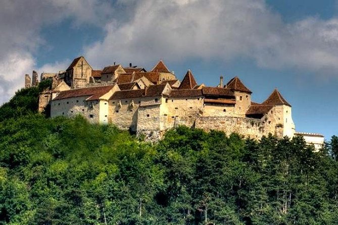 Bear Sanctuary & Rasnov Fortress - Private day tour from Bucharest - Lunch reality: Plan for food or it will plan for you