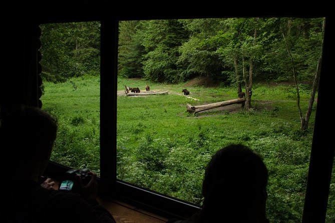 Bear watching experience near Brasov - Small group value: max 8 travelers, more control, calmer hide time