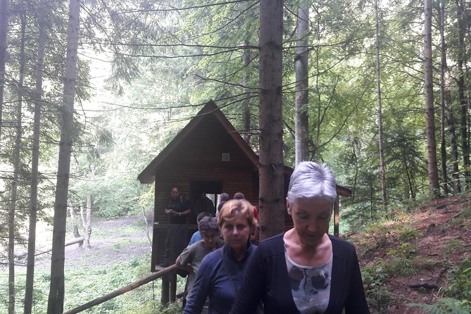 Bear Watching in The Wild from Brasov (100 %) - Timing Matters: Why This Tour Runs Only Part Of The Year