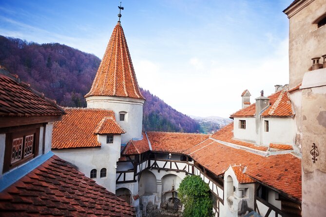 Bears Sanctuary, Dracula Castle and Poiana Brasov-Private day tour from Brasov - A tight, private day plan from Brasov that respects your time