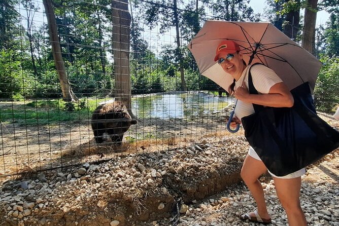 Bears Sanctuary, Dracula Castle and Poiana Brasov-Private day tour from Brasov - Poiana Brasov: a scenic finish with time to breathe