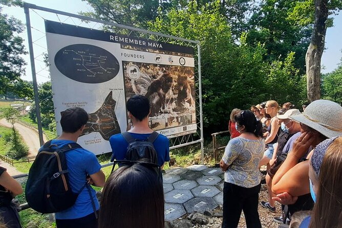 Bears Sanctuary, Dracula Castle and Poiana Brasov-Private day tour from Brasov - What you get with a certified guide and private transport
