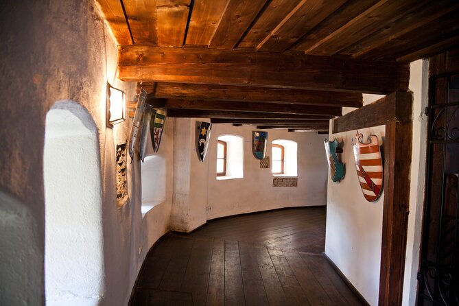 Bears Sanctuary, Dracula Castle and Poiana Brasov-Private day tour from Brasov - Libearty Bear Sanctuary Zarnesti: the best morning slot for bear viewing