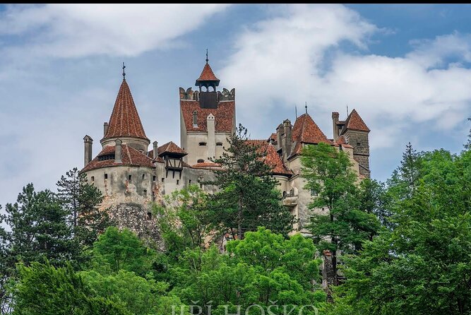 Bears Sanctuary, Dracula's Castle and Brașov City - Private Tour - Bucharest pickup to Zarnesti bears: what the day really feels like