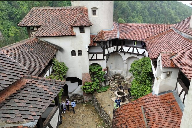 Bears Sanctuary, Dracula's Castle and Brașov City - Private Tour - Libearty Bear Sanctuary: your close look at rescue and rehabilitation