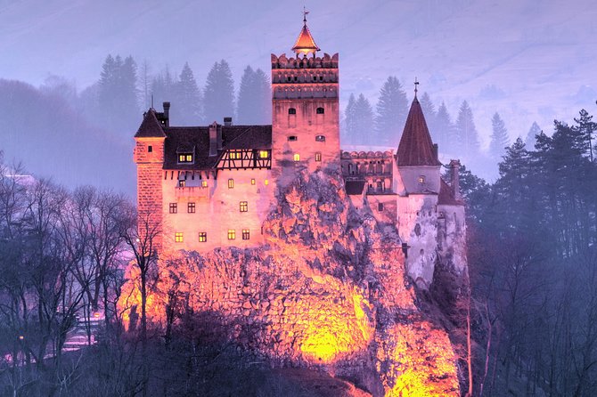 Bears Sanctuary, Dracula's Castle, Brasov Day Trip Private Tour from Bucharest - Bear Sanctuary Zarnesti: what a forest reserve visit really feels like