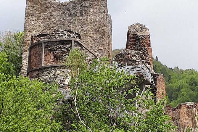 Bears Sanctuary, Dracula's Castle, Brasov Day Trip Private Tour from Bucharest - Bran Castle: Dracula’s story versus the real medieval site