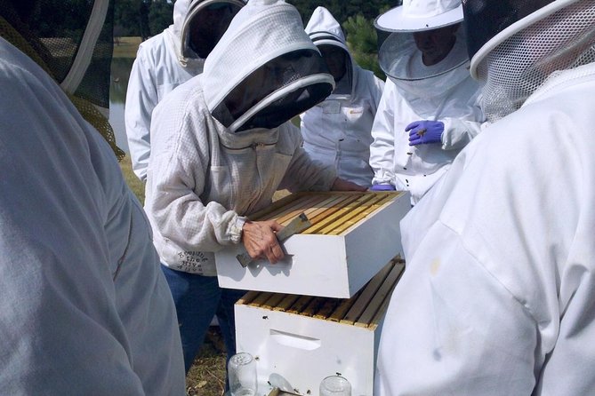 Beekeeping Day Trip| Private Guided Tour from Bucharest - Key points before you go